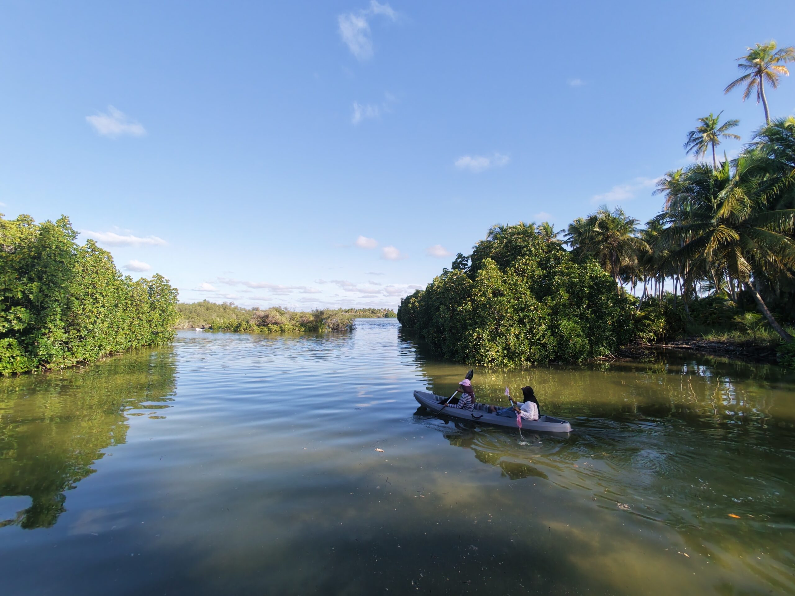 Aerial view of canoes moving through a mangrove channel in Hithadhoo, Addu City