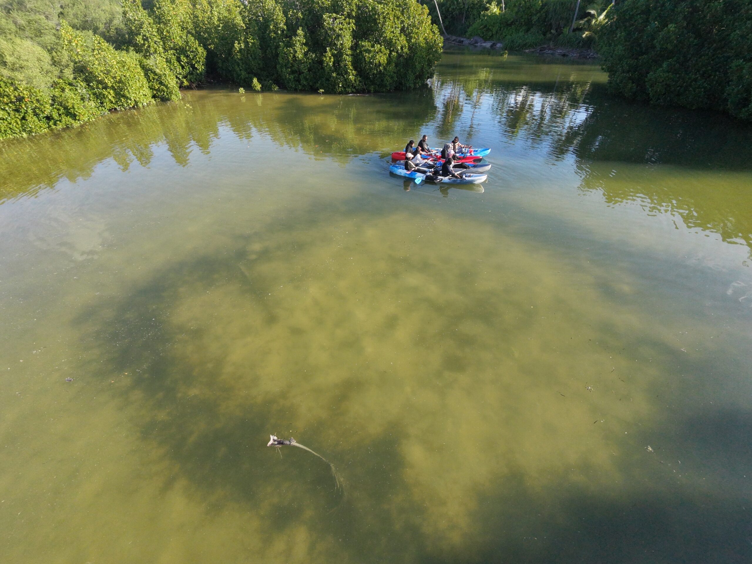 Group of canoe paddlers on calm mangrove water in Hithadhoo, Addu City