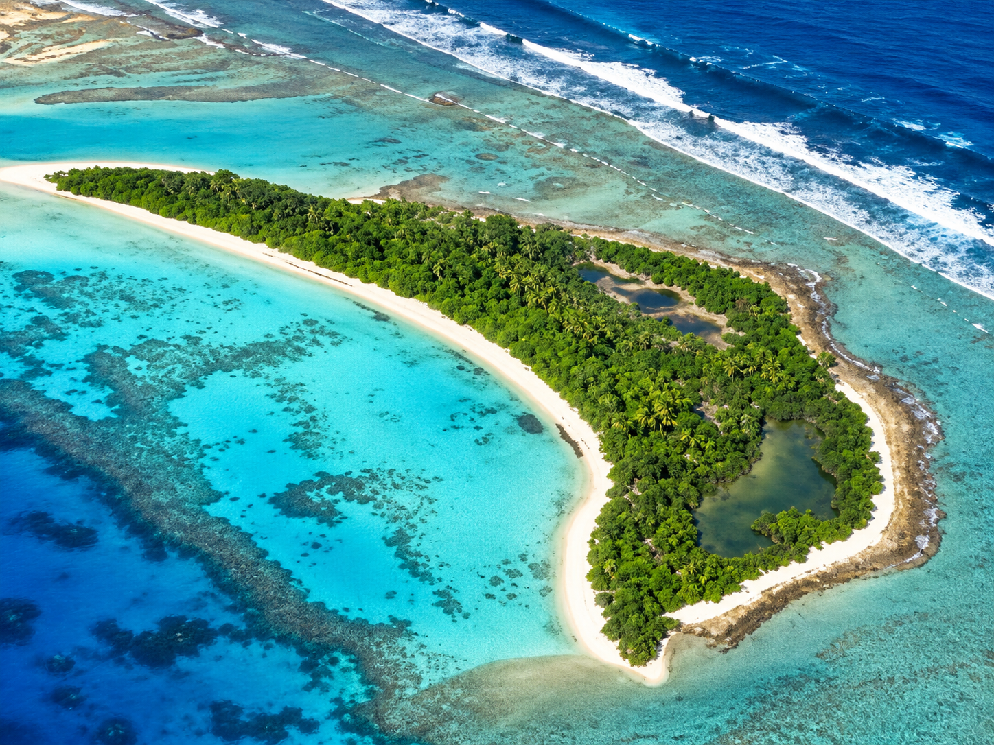 Picnic Island Tour