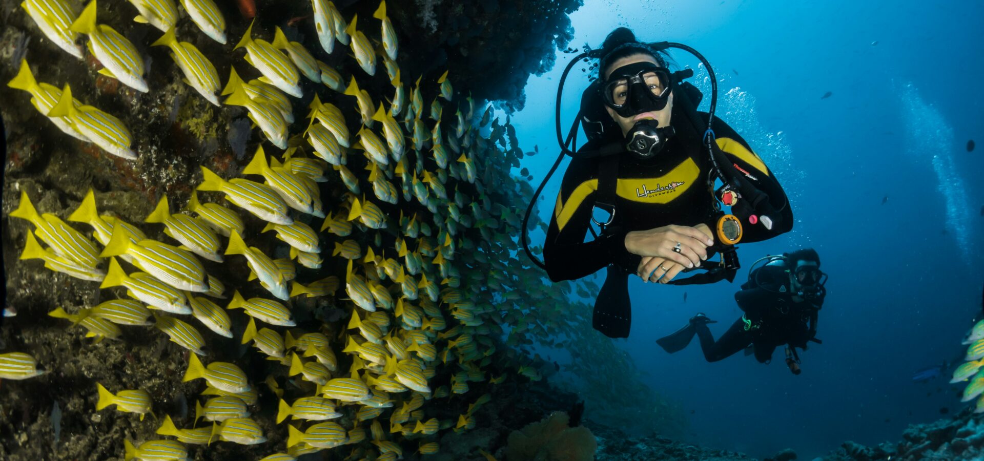 Scuba divers exploring a coral reef in the Maldives