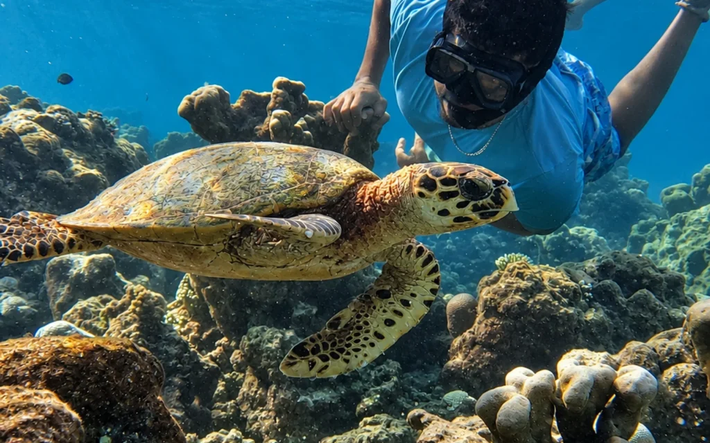 Introduction to Snorkeling