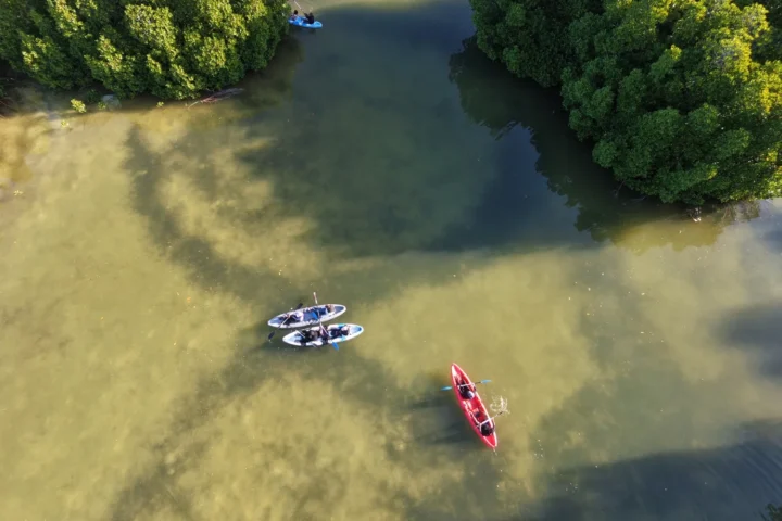 Mangrove Canoe Trip experience in Addu, Maldives