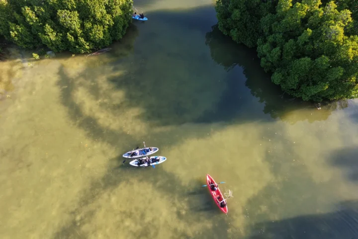 Nature Trip experience in Addu, Maldives